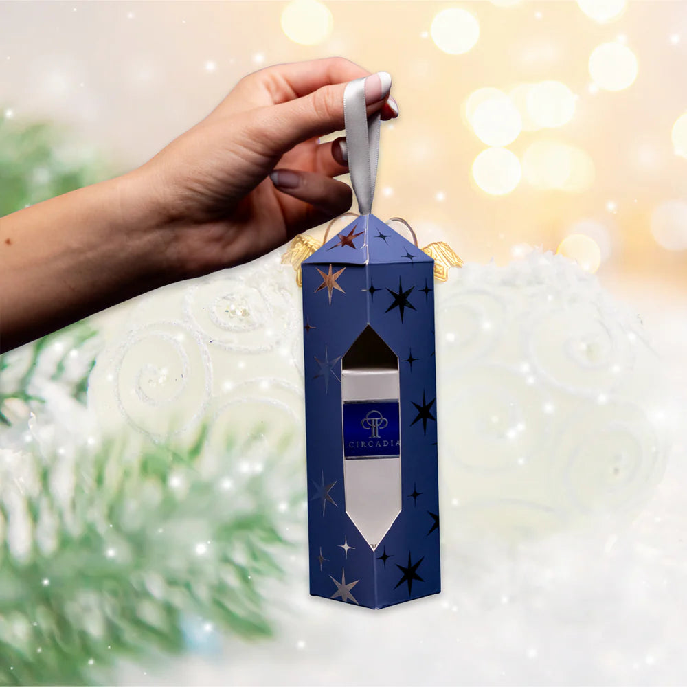 Holiday Ornament Box Set