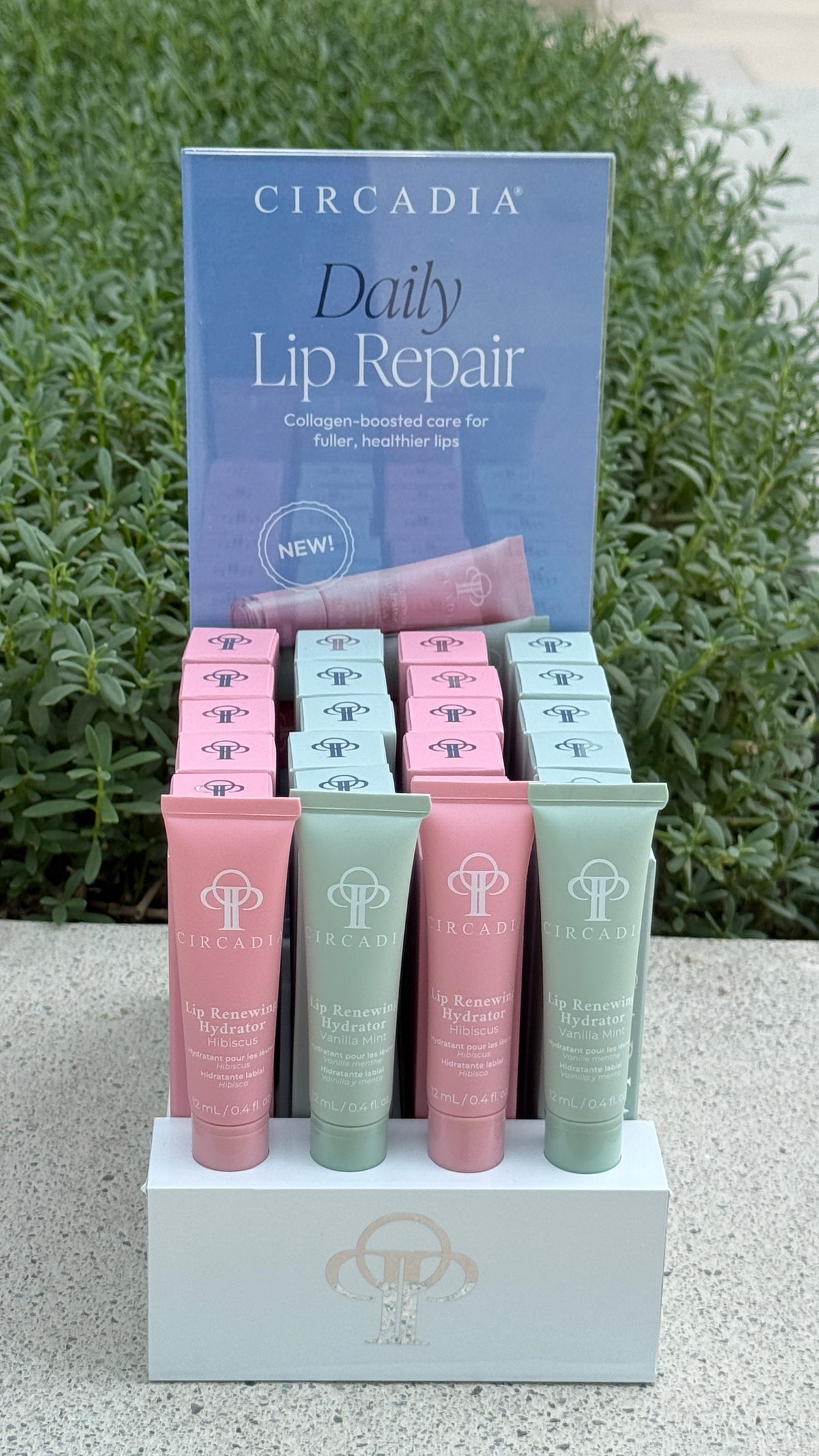 Circadia Lip Renewing Hydrator Counter Display Set
