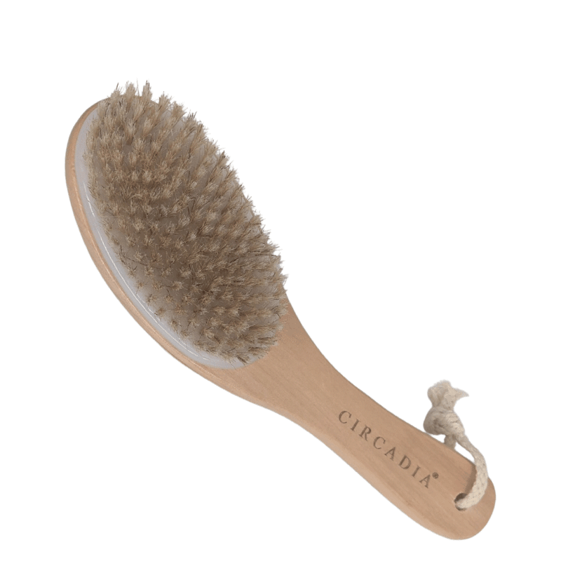 Circadia Body Brush - CIRCADIA